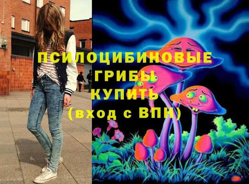 Галлюциногенные грибы Psilocybe  Фёдоровский 